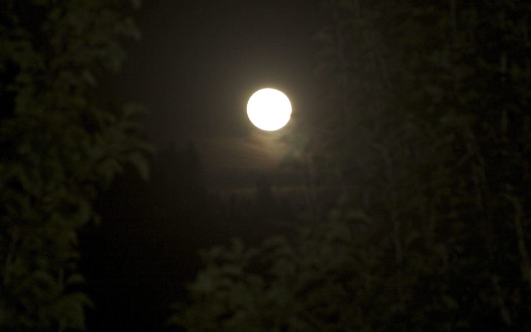 Super Moon