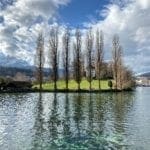 brown trees beside body of water under blue sky during daytime
